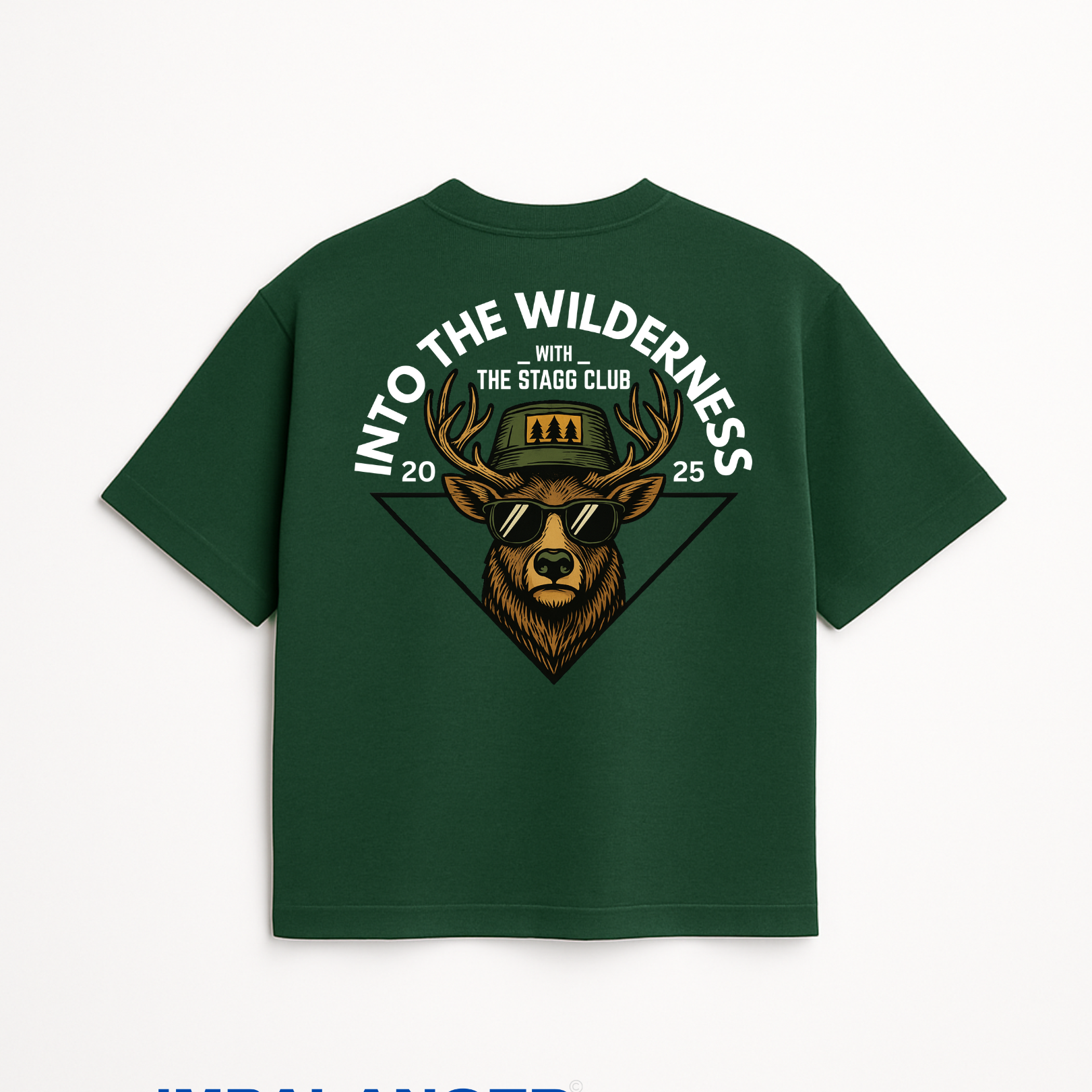 INTO THE WILDERNESS